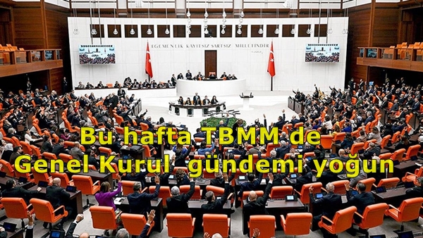 Bu hafta TBMM Genel Kurul komisyonları gündemi yoğun